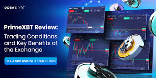 The Future of Trading Discovering PrimeXBT The Future of Trading Discovering PrimeXBT