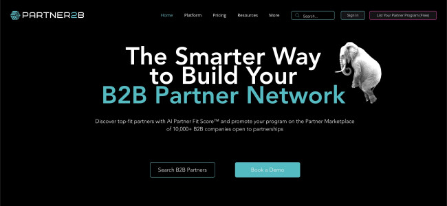 Maximizing Growth with B2B Partner Programs 1